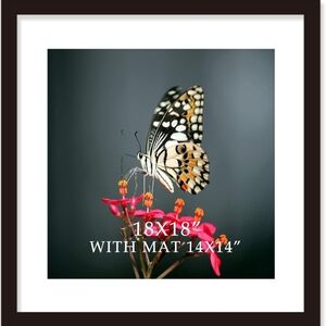 VITOIVE 18x18 Frame Black With Mat 14x14 Solid Wood Picture Frames Wall Mounting